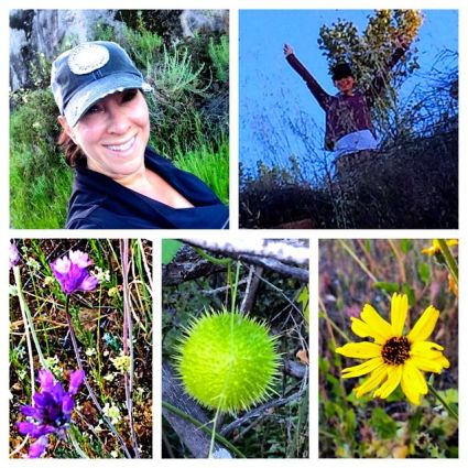 Oaks Hike Collage 2